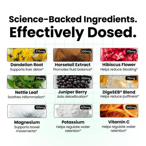 Dandelion Powder Dietary Supplement